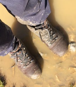 Wet, muddy paths