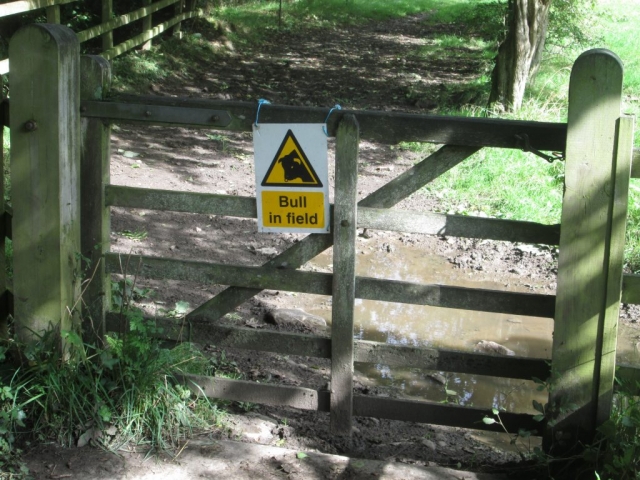 Bull warning in Mill Wood
