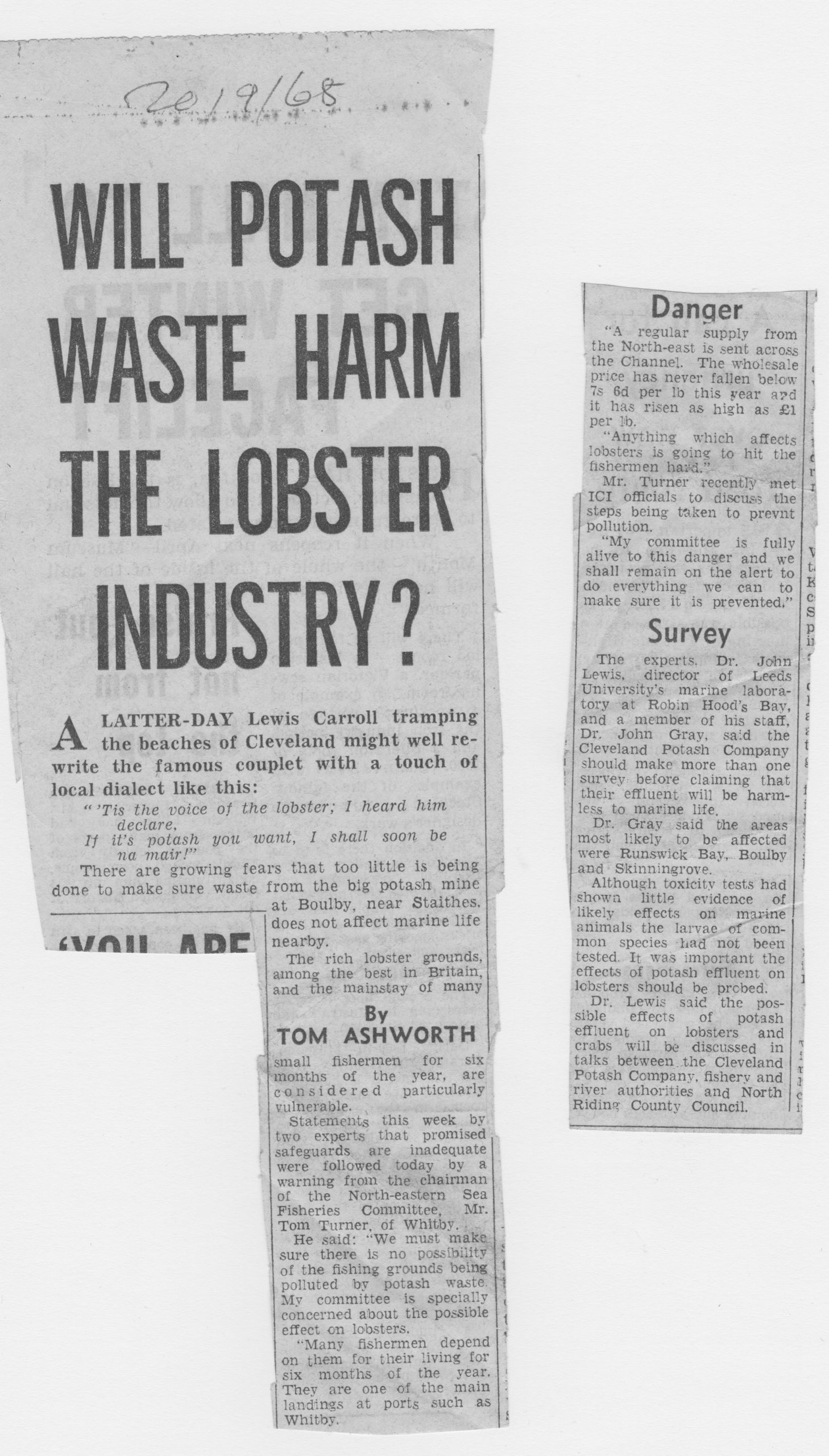 There are questions about the effect of potash waste on Yorkshire lobster fisheries